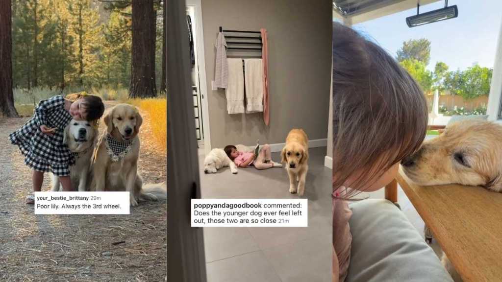 Toddler Can’t Hug Both Golden Retrievers at Once, So She Makes Sure Neither Feels Left Out