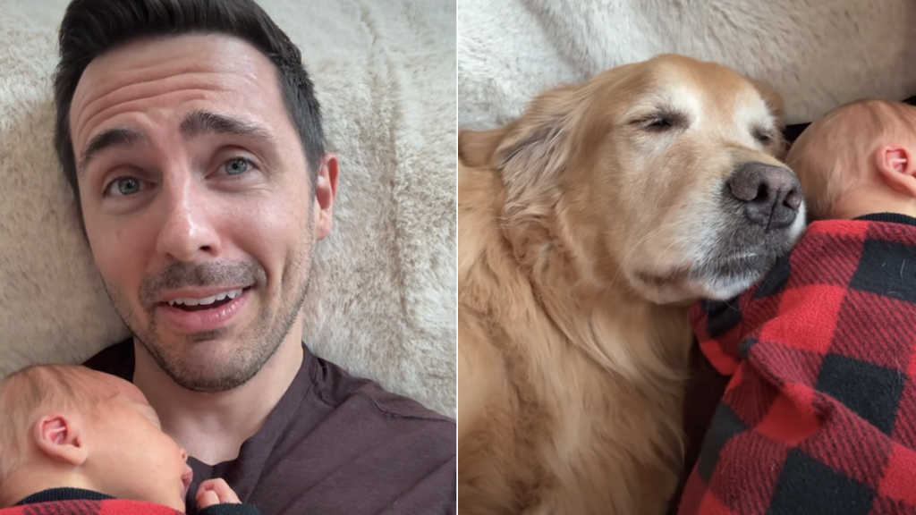 dog dad video