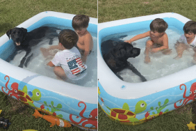dog bath kids