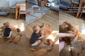 Mom Walks in on Golden Retriever & Toddler Sharing a Special Moment