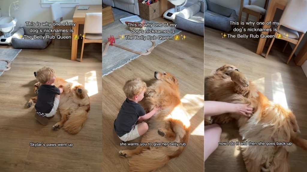 Mom Walks in on Golden Retriever & Toddler Sharing a Special Moment