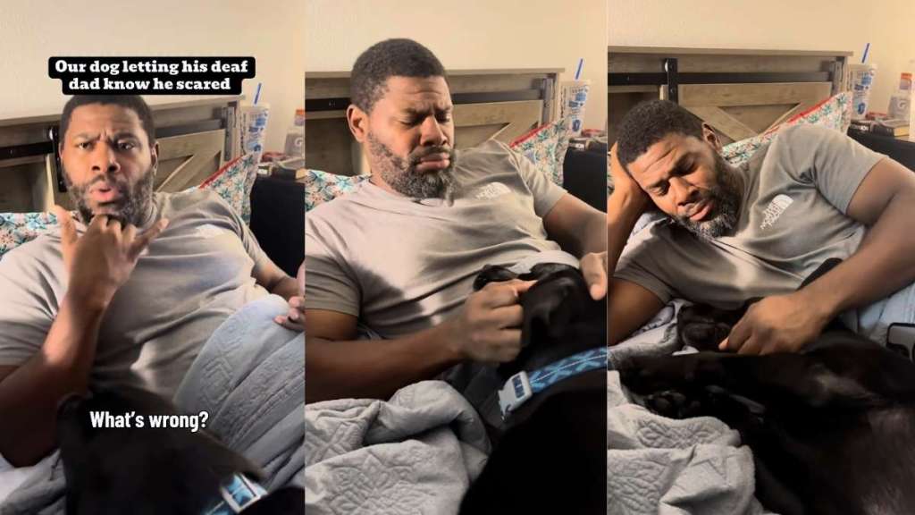 Dog Has the Sweetest Way of Telling His Deaf Dad He’s Scared of Fireworks