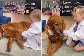 Golden Retriever Takes 'Playing Doctor' With Toddler Very Seriously