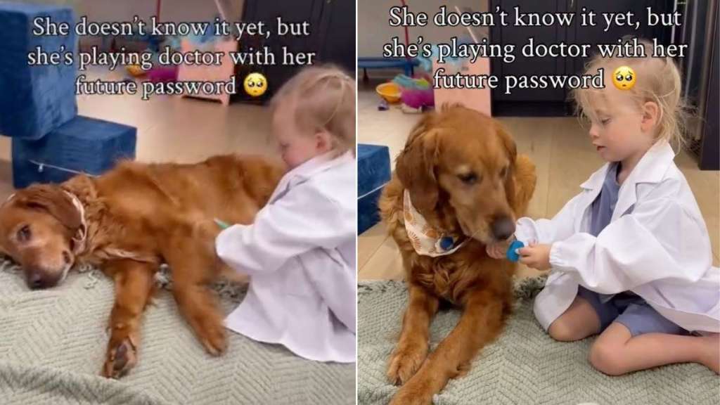 Golden Retriever Takes 'Playing Doctor' With Toddler Very Seriously