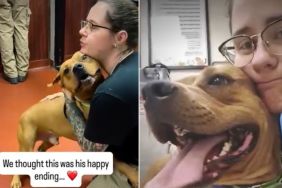 Shelter Dog Thought He Found His Family Only to Be Surrendered Over a Month Later