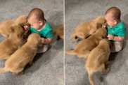 One Tiny Toddler Somehow Became the Leader of This Puppy Pack