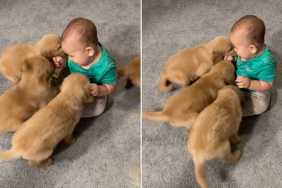 One Tiny Toddler Somehow Became the Leader of This Puppy Pack