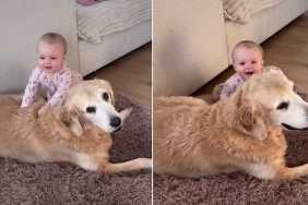 After Golden Retriever Knows Little Baby Feels Safe With Her, She Lets Her Do This