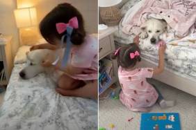 Golden Retriever & Toddler’s Naptime Ritual Starts off Chaotic but Ends Cozy