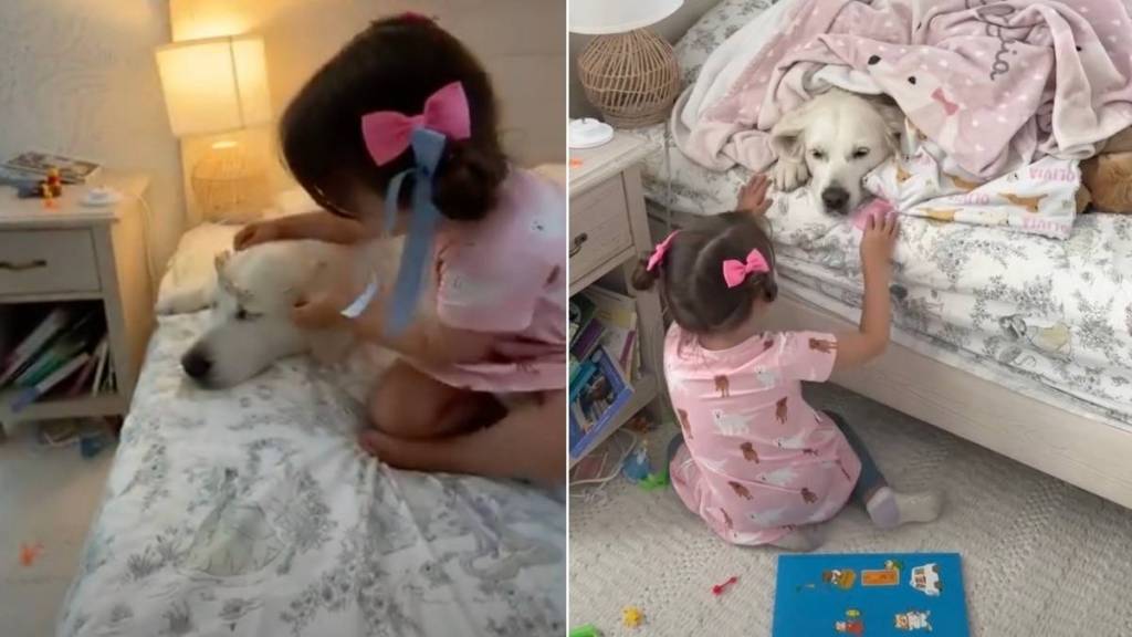 Golden Retriever & Toddler’s Naptime Ritual Starts off Chaotic but Ends Cozy