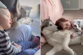 Dog Loves Baby Sibling in a Way That Says More Than Words Ever Could
