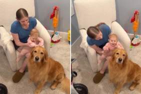 Golden Retriever Doesn’t Know It Yet but Little Baby Will Grow up & Change His Whole World