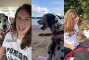 Stray Dog Nobody Came for Gets Rescued by a Human, Unaware He’s Found His Forever Mom