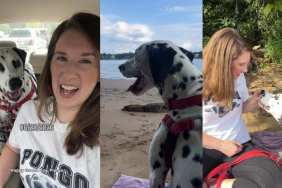 Stray Dog Nobody Came for Gets Rescued by a Human, Unaware He’s Found His Forever Mom