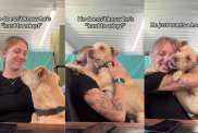 Human Hugs Rescue Dog, Showing He May Not Be Perfect, but He’s Still ‘Not Hard To Adopt’