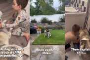 Gentle Husky Is Teaching Little Boy One of Life’s Greatest Lessons
