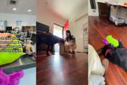 Foster Dog Parts With New Toy When He Returns to Shelter, Unaware of What’s Next