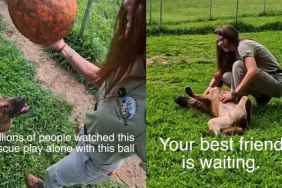 Rescue Dog Used To Play Alone Until Human Changed Everything, but His Journey Isn’t Over Yet