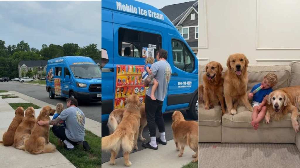 Golden Retrievers Make Toddler’s First Ice Cream Truck Experience Extra Special