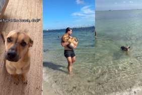 Rescue Dog Thinks Dad’s Leaving Him Behind, Then Learns He’s Going to the Beach Too