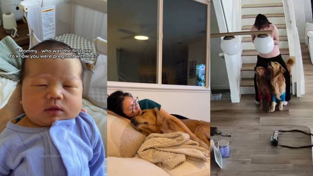 Long Before Baby Arrived, Golden Retrievers Became Mom’s Forever & the First To Know