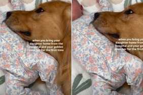 Golden Retriever Does the Unexpected on Seeing Baby Sister for First Time
