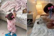 Toddler Refuses To Go To Sleep Without Golden Retriever Like That’s All She Needs