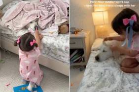 Toddler Refuses To Go To Sleep Without Golden Retriever Like That’s All She Needs