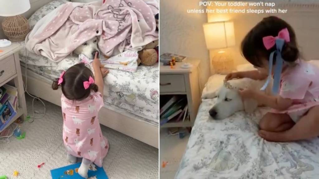 Toddler Refuses To Go To Sleep Without Golden Retriever Like That’s All She Needs