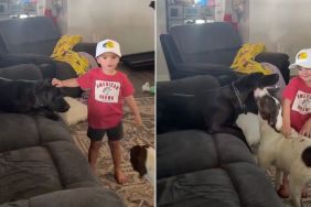 Toddler Lets Neighbors’ Dog Into the House, Leaves Mom To Find the Sweetest Surprise
