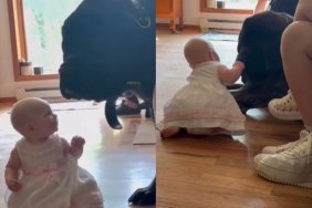 Big Dog’s Gentle Love for Tiny Baby Feels Like a Quiet Promise She Can Trust Him