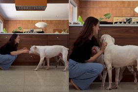 dog mom video
