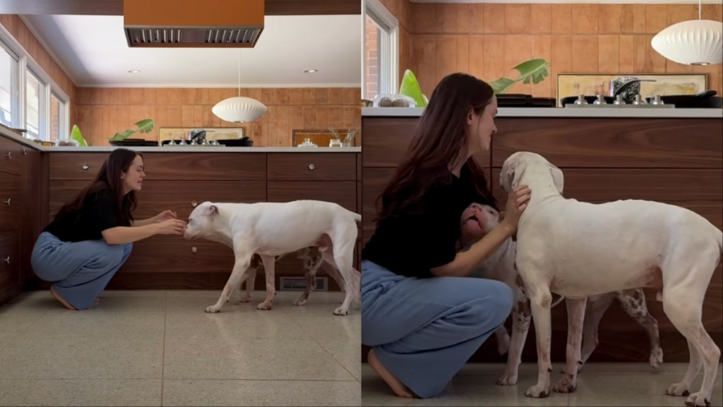 dog mom video