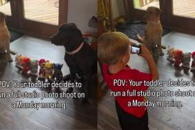 Dogs Understand Toddler in a Way Nobody Else Would & It Shows