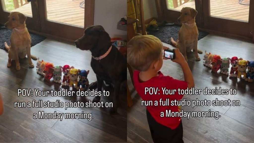 Dogs Understand Toddler in a Way Nobody Else Would & It Shows