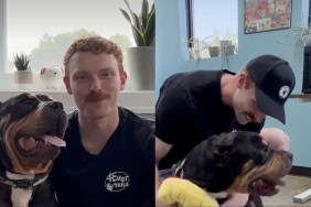 foster dog adoption