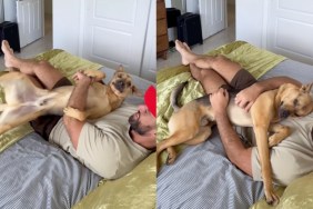 rescue dog dad cuddles
