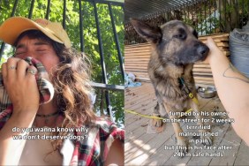 rescue dog dumped human