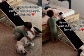 toddler dogs morning routine