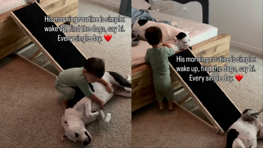 toddler dogs morning routine