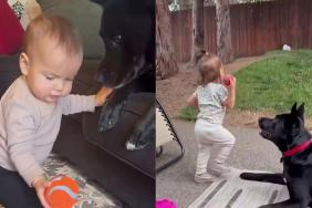 Big Dog Chases Toddler in a Backyard Game That Has Her in Stitches, but It Started Like This
