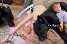 Family Dog Has Been by Baby’s Side Since Day One