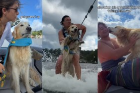 Golden Retriever Perfects the Art of ‘Air Swimming’ on Fun Wakesurfing Adventure