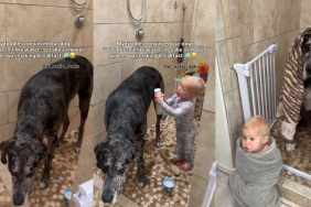 Toddler Outsmarts Dog & Pulls off a Bath Routine Mom Never Saw Coming