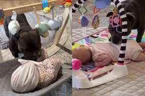 Dog Goes From Feeling Left Out to Fully Embracing Life as a Big Brother