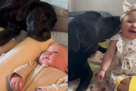 Dog’s Big Brother Role Gets a Sweet Little Upgrade When Baby Sister Arrives