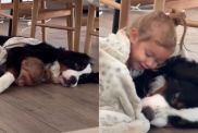 Dog Initiates Cuddle With Little Girl by Making the Most Adorable Gesture