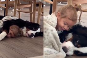 Dog Initiates Cuddle With Little Girl by Making the Most Adorable Gesture