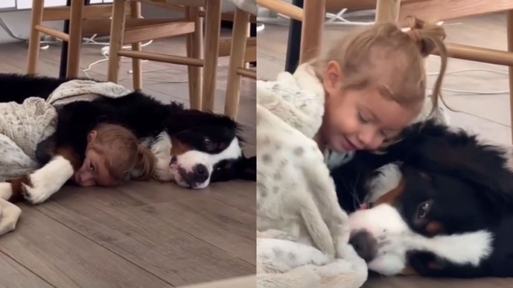 Dog Initiates Cuddle With Little Girl by Making the Most Adorable Gesture
