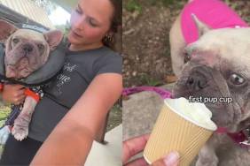 Rescue Dog Left To Die on the Streets Discovers the Joy of Being Loved